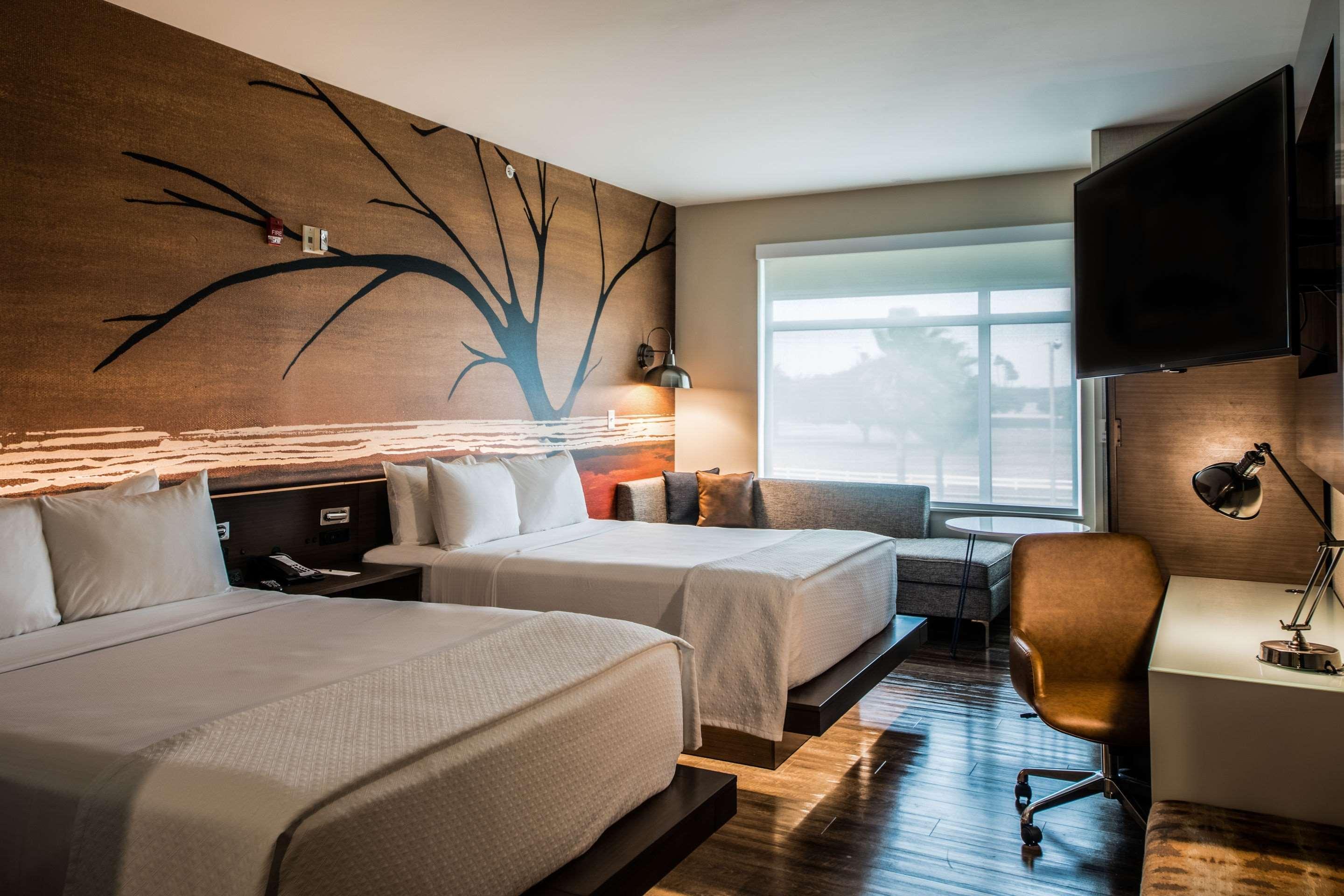 Cambria Hotel Mcallen Convention Center Dış mekan fotoğraf